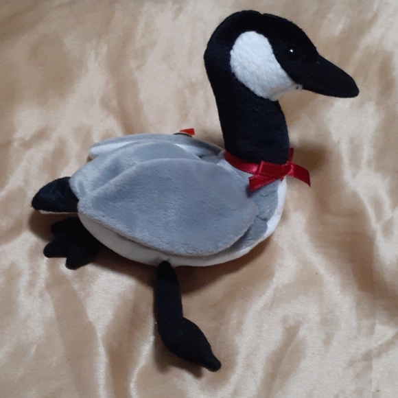 Loosy - Picture 4 of 8